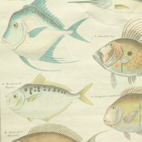 Artikel Deko Rollbild aus Leinen mit Fischen 60cm x 72cm