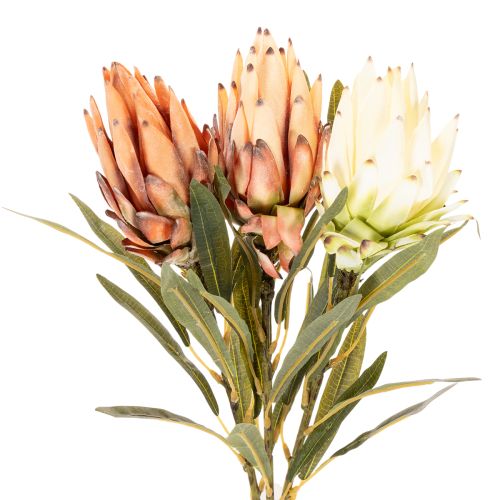 Kunstblume Protea Leucadendron Kunststoff 65cm Creme Gelb Orange Set 3St Innenbereich | Floristik21.de