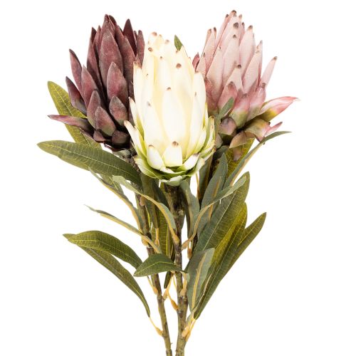 Artikel Protea Kunstblume Leucadendron 100 cm 3-teilig Creme Bordeaux Rosa