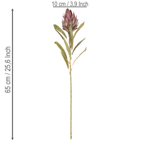 Protea Kunstblume Leucadendron 100 cm 3-teilig Creme Bordeaux Rosa | Floristik21.de
