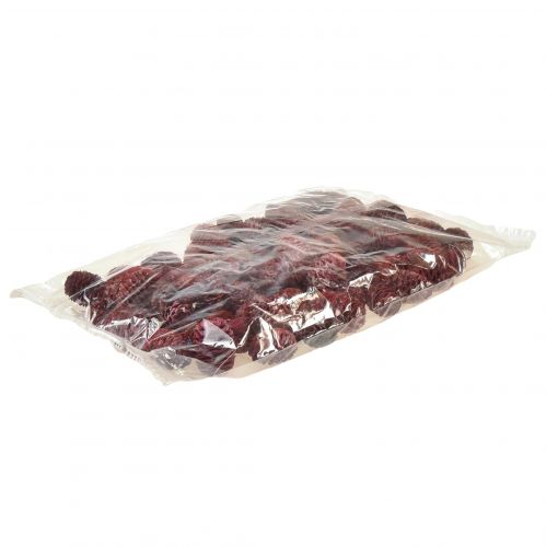 Artikel Leucadendron Sabulosum Zapfen in Rot Gefrostet 500g