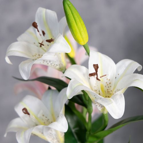 Artikel Künstliche Lilien 66 cm Weiß 2 Stück - Elegante Deko für Wohn- und Eventbereiche