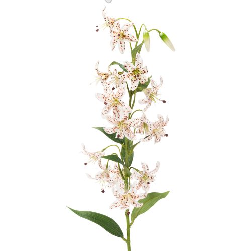 Künstliche Lilie 82 cm – Realistische Blumenstiele im 2er-Set für elegante Dekoration