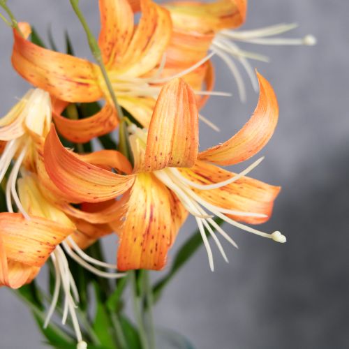 Artikel Künstliche Lilien 4er-Set – Realistische orangefarbene Kunstblumen für Hochzeitsdekorationen und Events 77cm