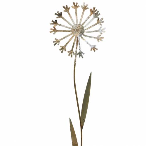 Floristik21 Gartenstecker Pusteblume Edelrost Metall Ø10 H49cm