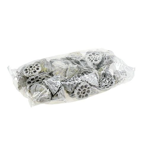 Artikel Lotos Natur Deko Lotuskolben Weiß gewaschen 6-8cm 50 St