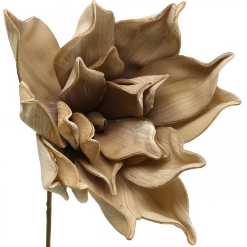 Artikel Lotusblume, Lotusblüte Deko, Kunstpflanze Beige L66cm