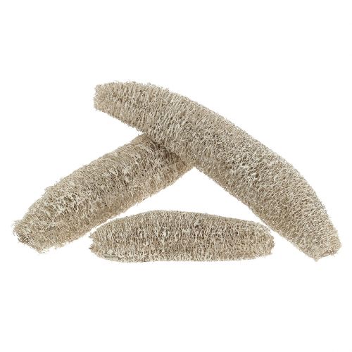 Floristik21 Luffa groß Weiß gewaschen 20 St