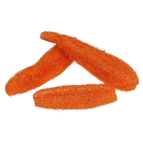 Floristik21 Luffa groß Orange 20 St