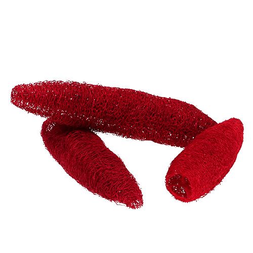 Floristik21 Luffa groß Rot 20 St