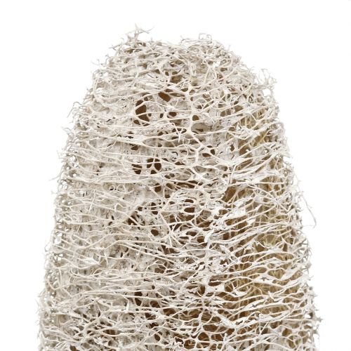 Artikel Luffa klein am Stiel Weiß gewaschen 25 St