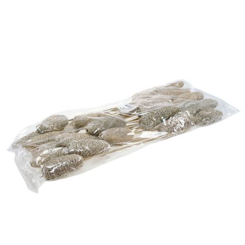 Artikel Luffa klein am Stiel Weiß gewaschen 25 St