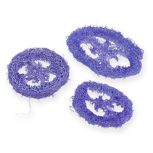 Floristik21 Luffa Scheiben Hellviolett 25 St