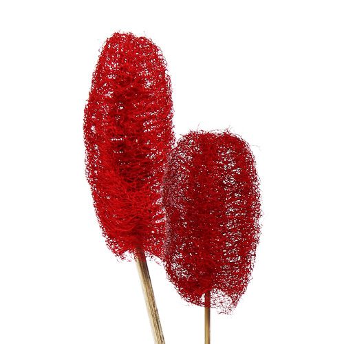 Floristik21 Luffa groß am Stiel Rot 25 St