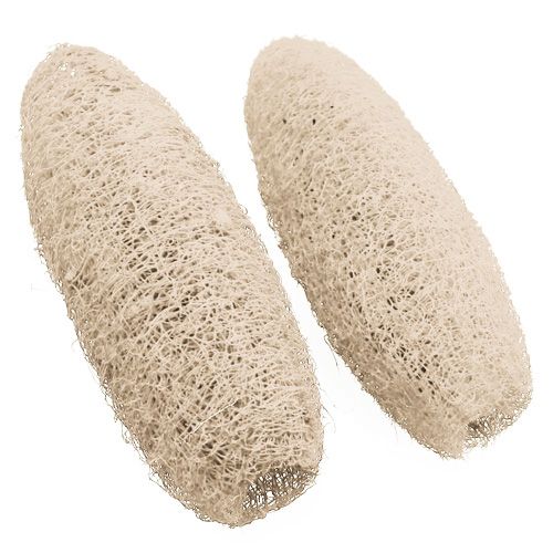 Floristik21 Luffa groß gebleicht 20 St