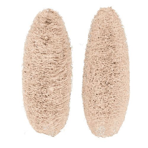 Artikel Luffa groß gebleicht 20 St