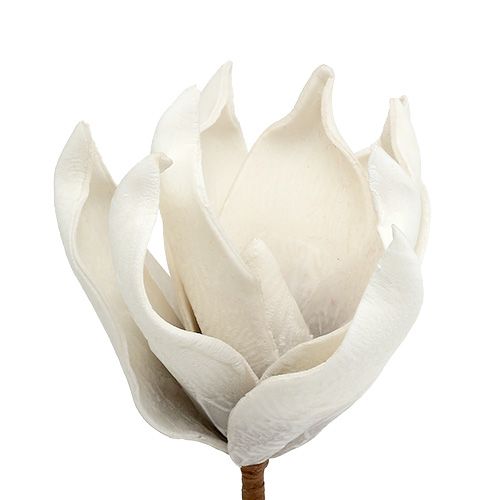 Floristik21 Magnolienblüte aus Foam Grau, Weiß Ø10cm L26cm 4St