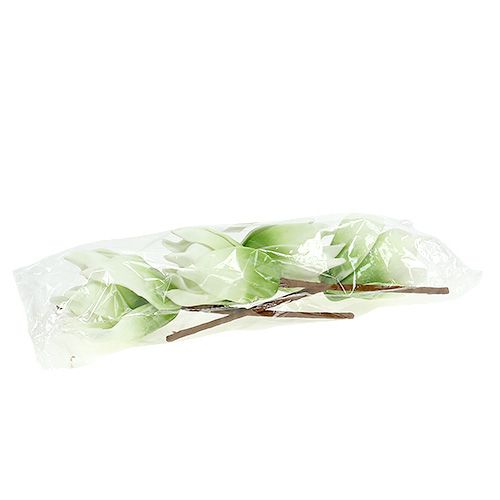 Floristik21 Magnolienblüte aus Foamstoff Weiß-Grün Ø10cm L26cm 4St