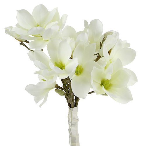 Floristik21 Magnolienbund Weiß 40cm 5 St