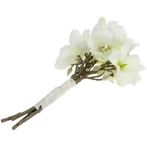 Artikel Magnolienbund Weiß 40cm 5 St