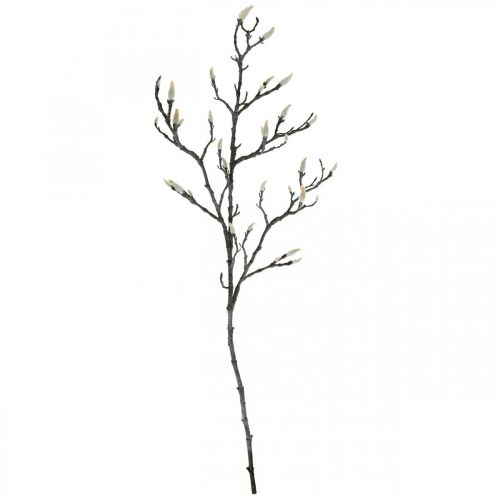 Floristik21 Frühling, Magnolienast mit Knospen, künstliche Dekozweig Braun, Weiß L100cm