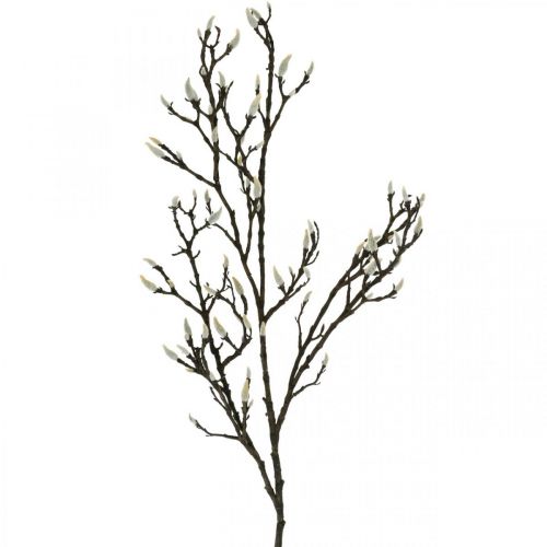 Floristik21 Künstlicher Magnolienzweig, Frühlingsdeko, Dekozweig mit Knospen Braun, Weiß L135cm
