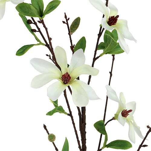 Floristik21 Magnolienzweig Weiß-Grün 94cm