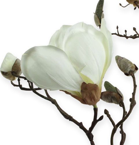Floristik21 Magnolienzweig Weiß 110cm