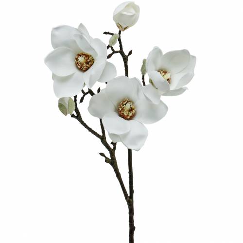 Floristik21 Magnolienzweig Weiß Dekozweig Magnolie Kunstblume