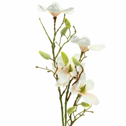 Floristik21 Magnolie Pfirsich 85cm