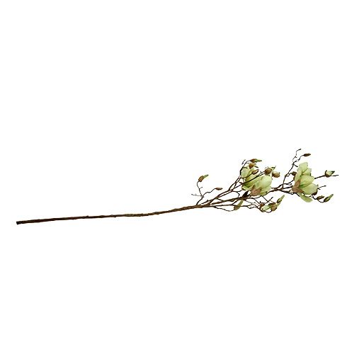 Floristik21 Magnolienzweig Grün L110cm