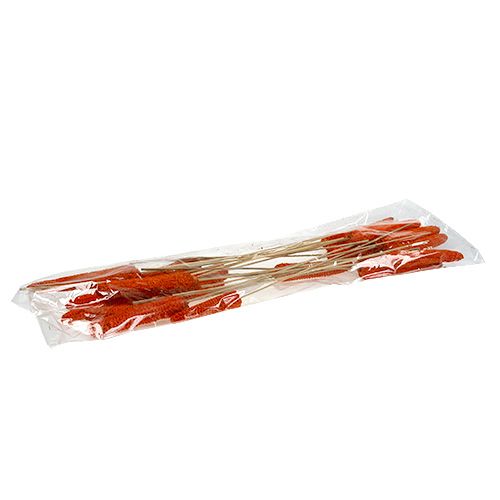 Artikel Maiskolben am Stiel Orange 20 St