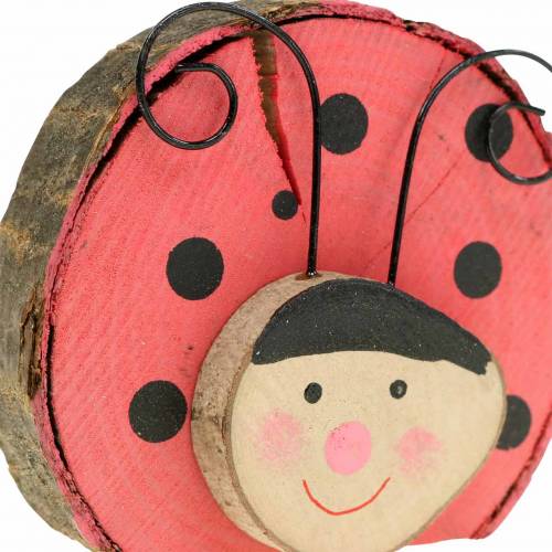 Marienkäfer Rot Holz Ø7cm 6St