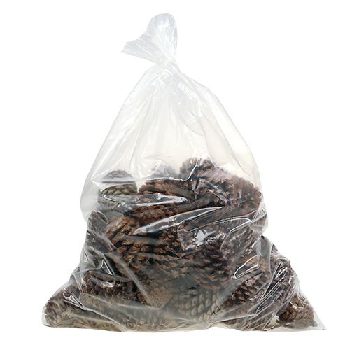 Artikel Maritima Zapfen 10/14 natur 50St
