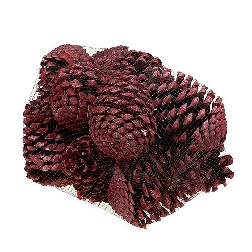Artikel Maritima Zapfen 10-15cm Rot gefrostet 12 St