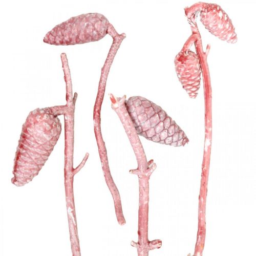 Artikel Maritimazapfen am Zweig Rosa/Weiß gewachst 400g