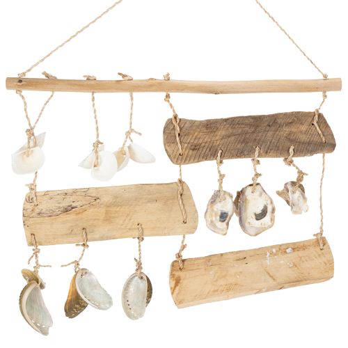 Artikel Treibhölzer und Muscheln Wanddekoration 50 cm Innenbereich