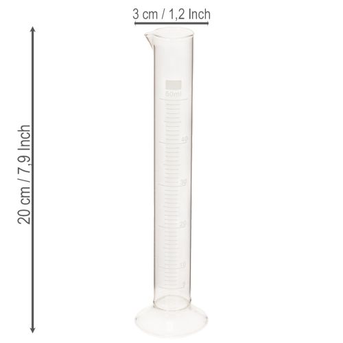 Glaszylinder mit Sockel, 50 ml, 20 cm, transparent, Innenbereich | Floristik21.de