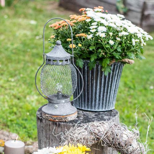 Floristik21 Metall-Laterne, LED-Lampe, Shabby Chic Ø16cm H33,5cm