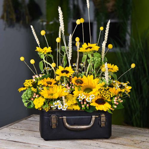 Metallkoffer, Pflanzgefäß, Koffer zum Bepflanzen L30/22,5cm 2er-Set