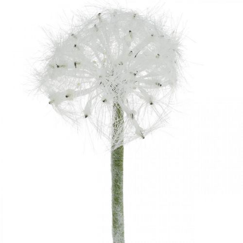 Floristik21 LED Pusteblume für Batterie Weiß Kunstblume Beleuchtung H50cm