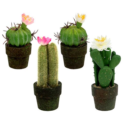 Floristik21 Mini Kaktus mit Blüten H9-12cm 4St