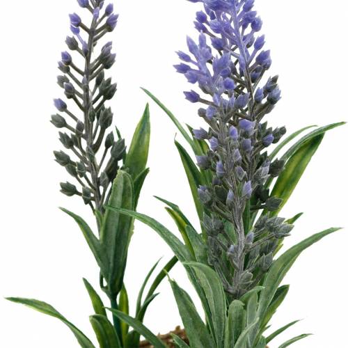 Floristik21 Mini-Lavendel im Topf Kunstpflanzen Künstlicher Lavendel Deko