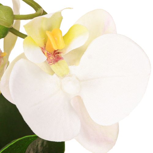Artikel Mini Orchideen Künstlich Weiße Orchideen im Topf 15cm Pflegeleicht Dekoration