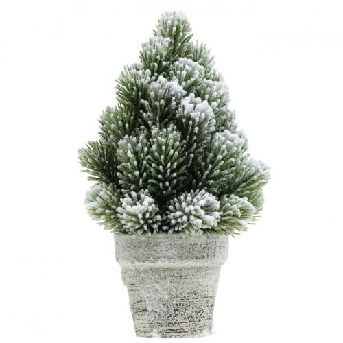 Floristik21 Mini Weihnachtsbaum im Topf Künstlich Beschneit Ø14cm H24cm