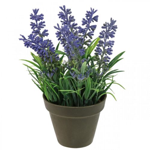 Floristik21 Mini-Lavendel im Topf Kunstpflanze Lavendel Deko H16cm