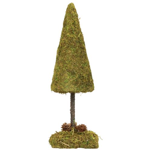 Floristik21 Mini Weihnachtsbaum Tischdeko Moosbaum H30,5cm