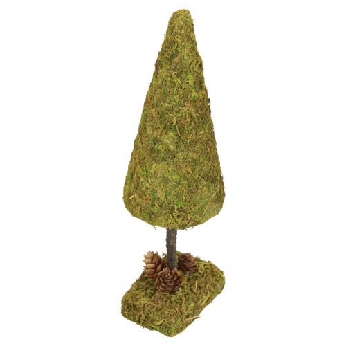 Floristik21 Mini Weihnachtsbaum Tischdeko Moosbaum H30,5cm
