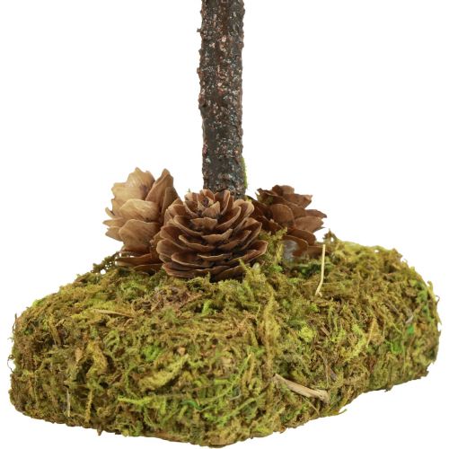 Floristik21 Mini Weihnachtsbaum Tischdeko Moosbaum H30,5cm