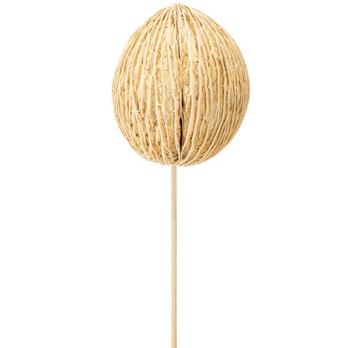 Floristik21 Mintolla Ball gebleicht 8cm - 10cm L46cm 6 St